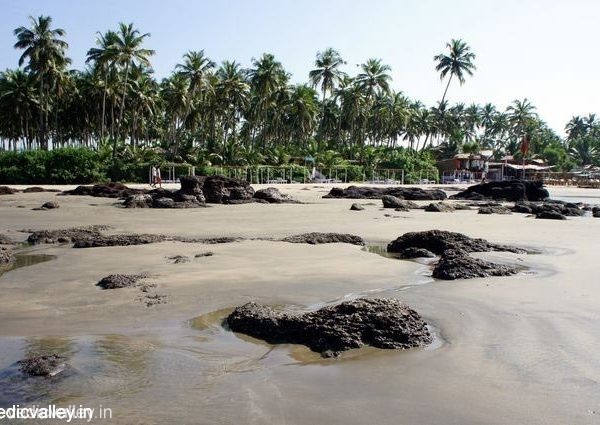 Beaches of Morjim, North Goa