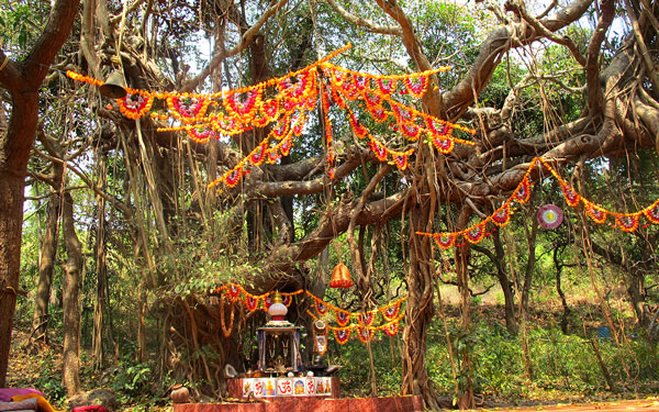 Vedic Ceremony at Vedic Valley