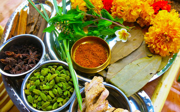 Ayurvedic Food at Vedic Valley